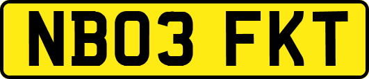NB03FKT