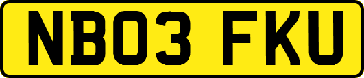 NB03FKU