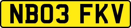 NB03FKV