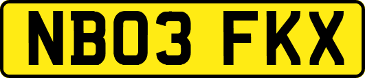 NB03FKX