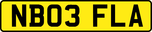 NB03FLA
