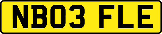 NB03FLE