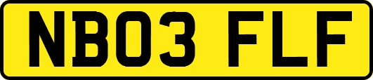 NB03FLF