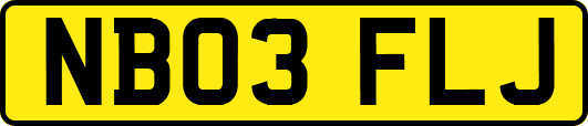 NB03FLJ