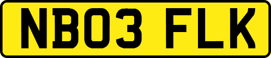 NB03FLK