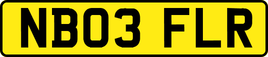 NB03FLR