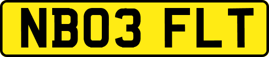 NB03FLT