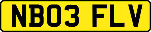 NB03FLV