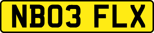 NB03FLX