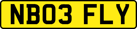 NB03FLY