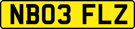 NB03FLZ
