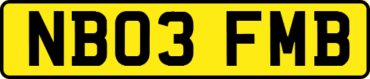 NB03FMB
