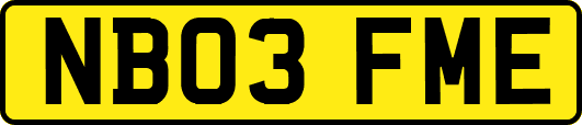 NB03FME