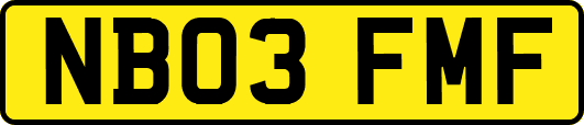 NB03FMF