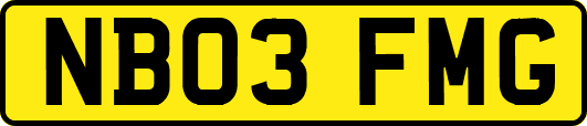 NB03FMG