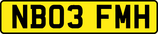 NB03FMH