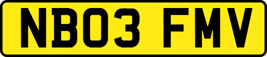 NB03FMV