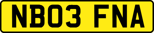 NB03FNA