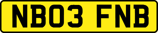 NB03FNB