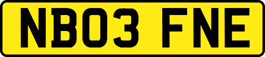 NB03FNE