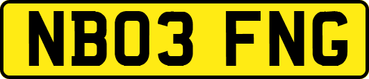 NB03FNG