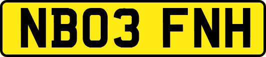 NB03FNH