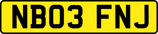 NB03FNJ