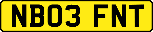 NB03FNT