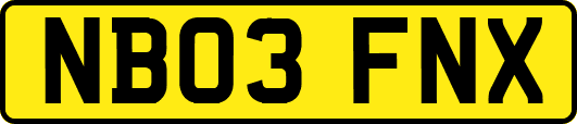 NB03FNX