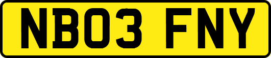 NB03FNY