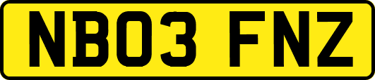 NB03FNZ
