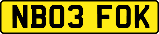 NB03FOK