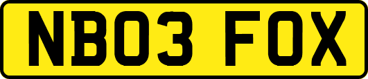 NB03FOX