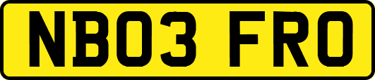 NB03FRO