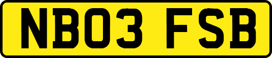 NB03FSB