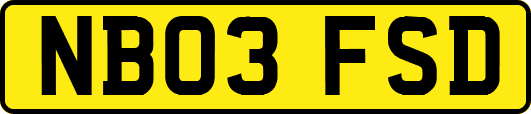 NB03FSD