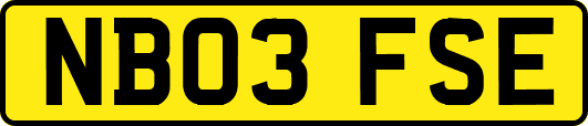NB03FSE