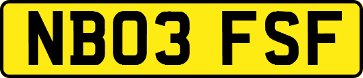 NB03FSF