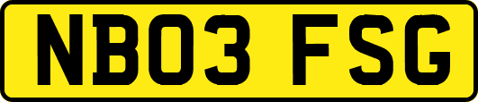 NB03FSG