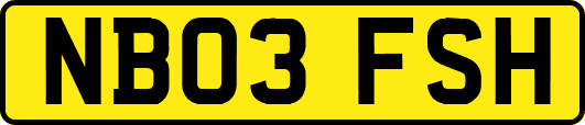NB03FSH