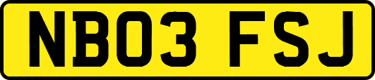 NB03FSJ