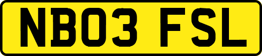 NB03FSL