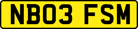 NB03FSM