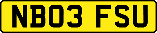NB03FSU