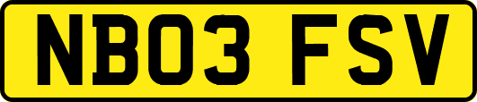 NB03FSV