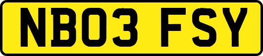 NB03FSY
