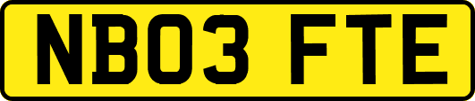 NB03FTE