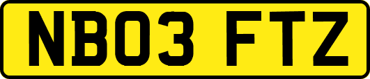 NB03FTZ
