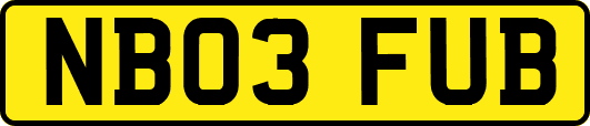 NB03FUB
