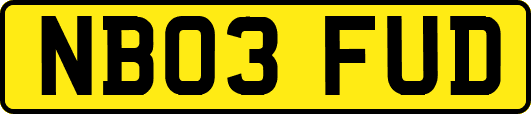NB03FUD